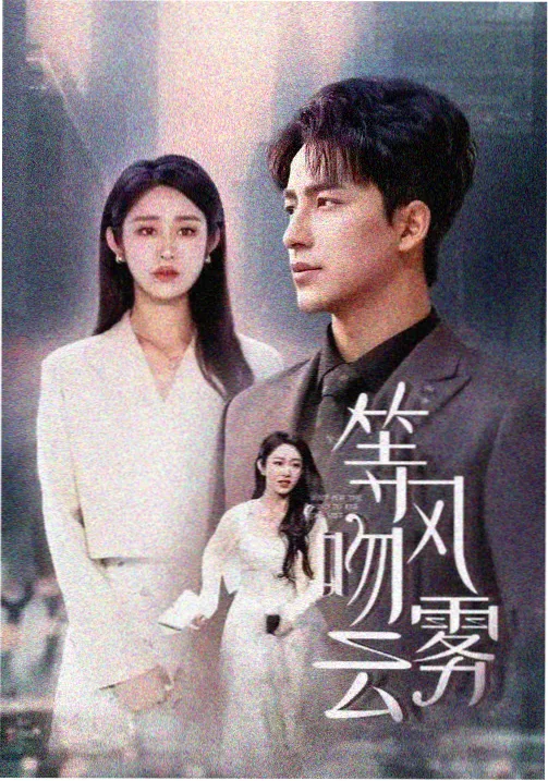 剧集长街旧事条目图